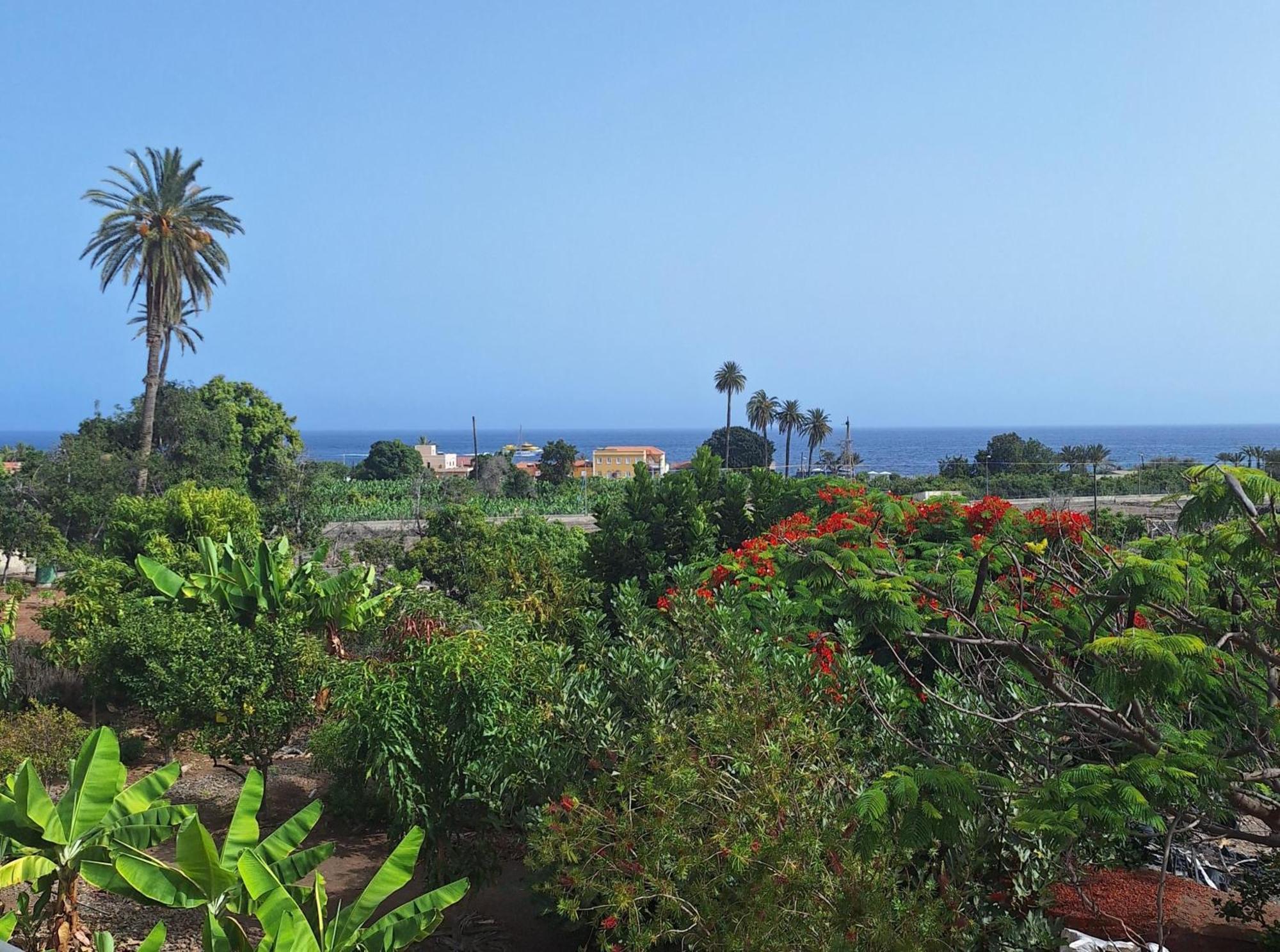 Apartamentos Bellavista Gomera Playa de Santiago  Exterior foto